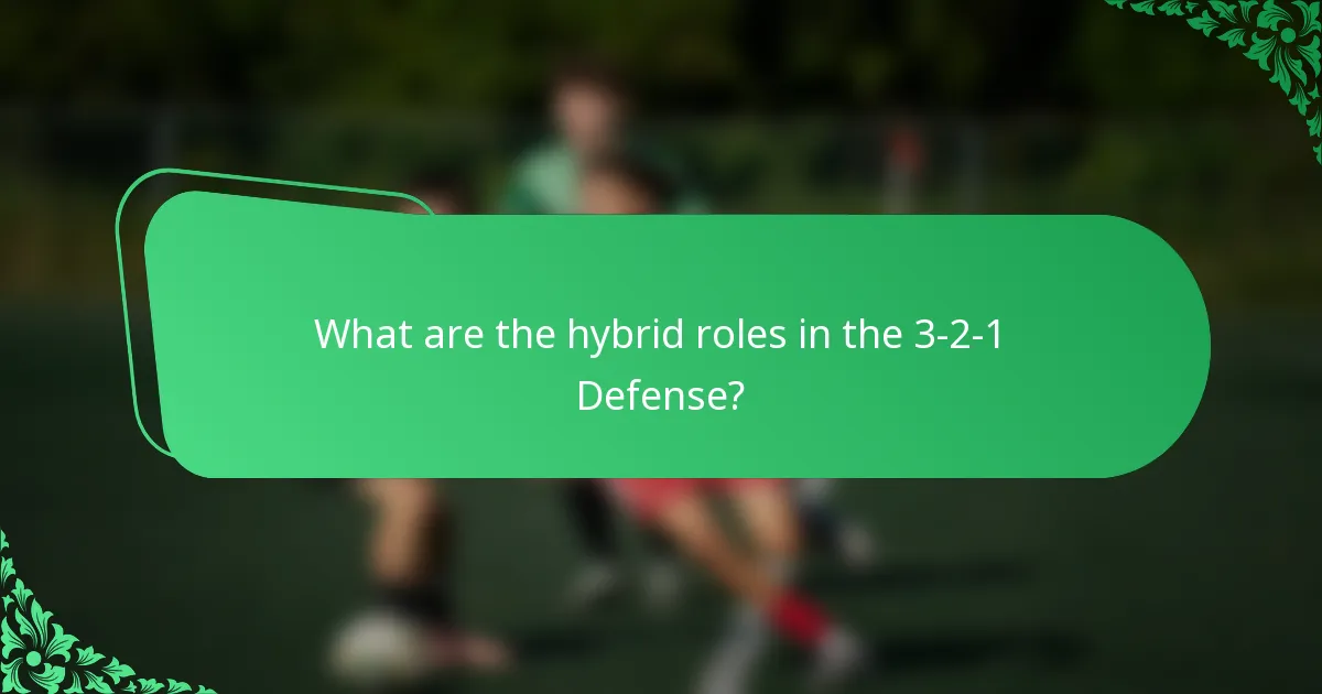 What are the hybrid roles in the 3-2-1 Defense?